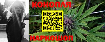 гидра Ачхой-Мартан