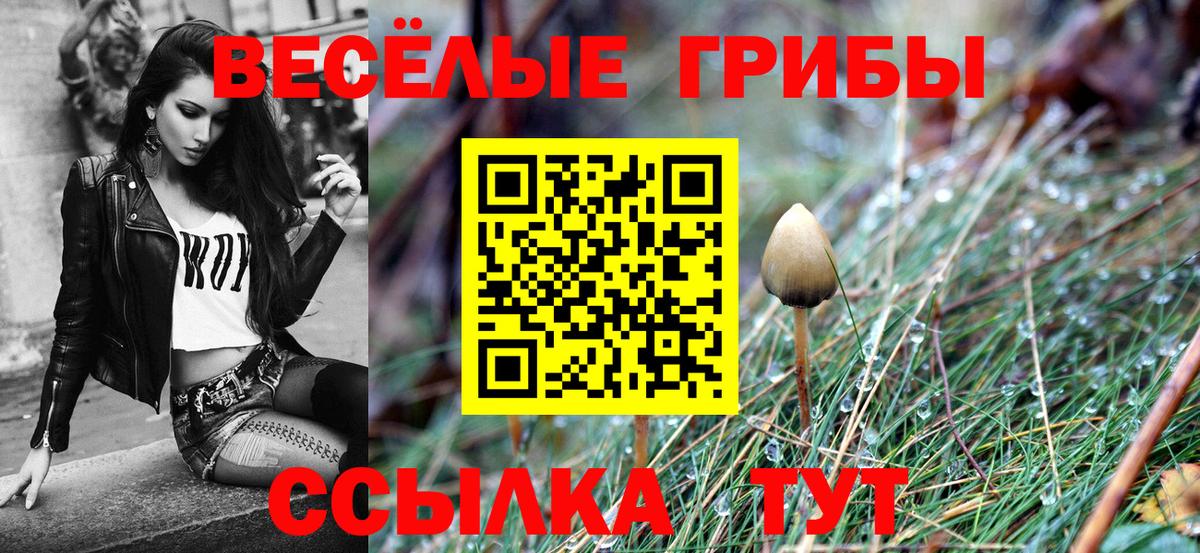 Галлюциногенные грибы Psilocybine cubensis Киселёвск